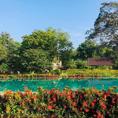 Lolu Village Resort อนุราธปุระ ภายนอก รูปภาพ