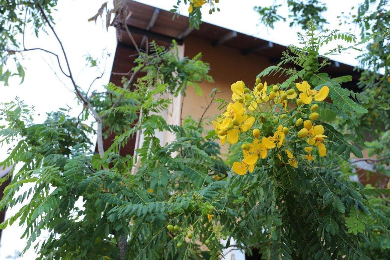 Lolu Village Resort อนุราธปุระ ภายนอก รูปภาพ
